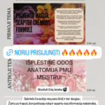 526f6f79 b897 45bc 86f5 30b66214c8a4 2