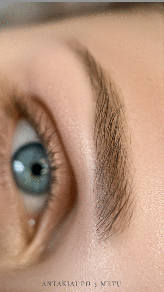 screenshot 2025 09 29 at 15.27.41